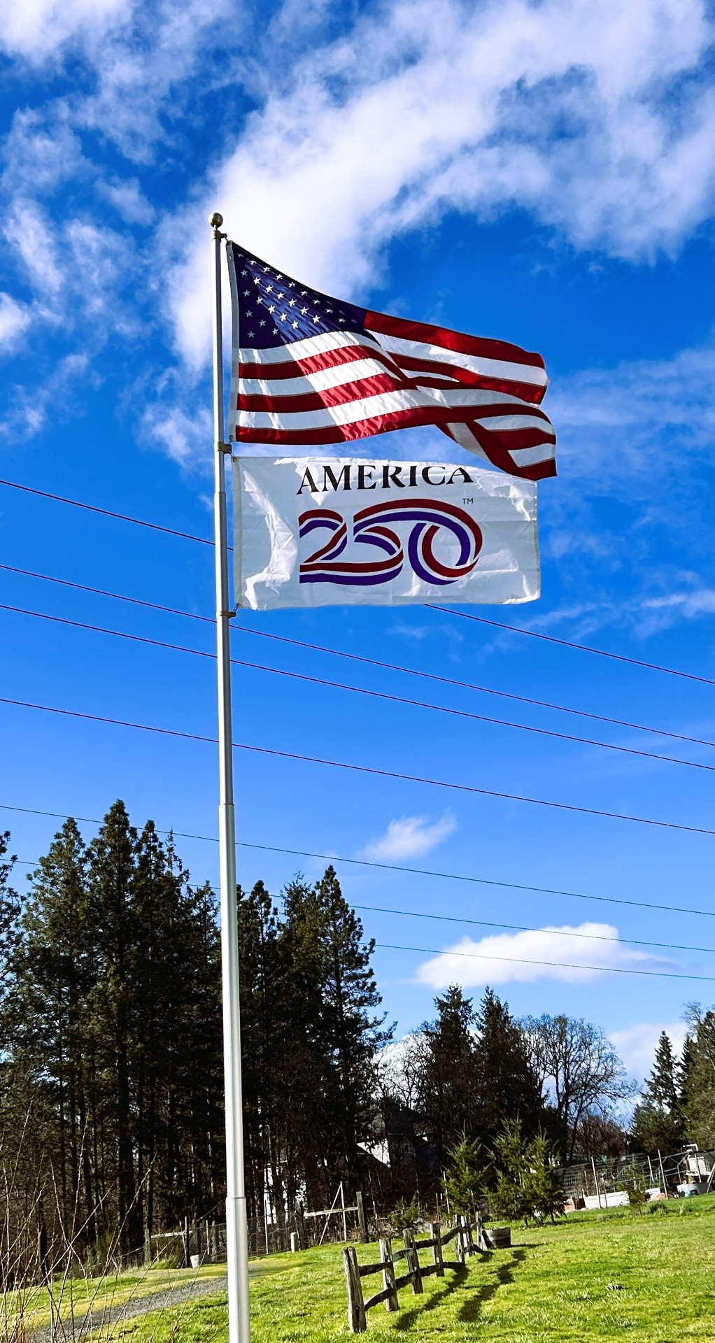 America 250 Anniversary Flag - Polycotton