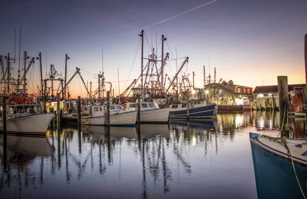 boatingdock4